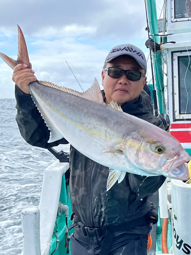 カンパチの釣果