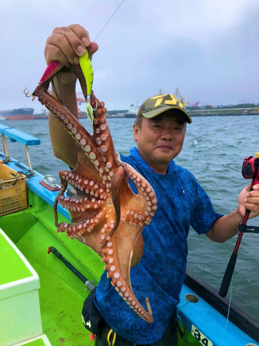 マダコの釣果