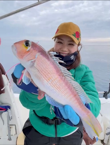 アマダイの釣果