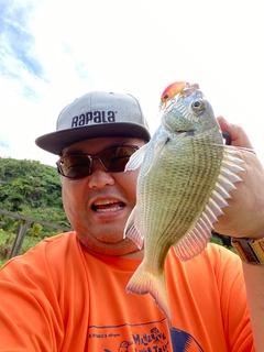 ミナミクロダイの釣果