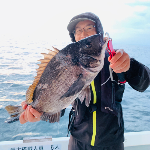 スズキの釣果