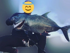 ロウニンアジの釣果