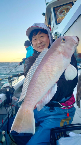 アマダイの釣果