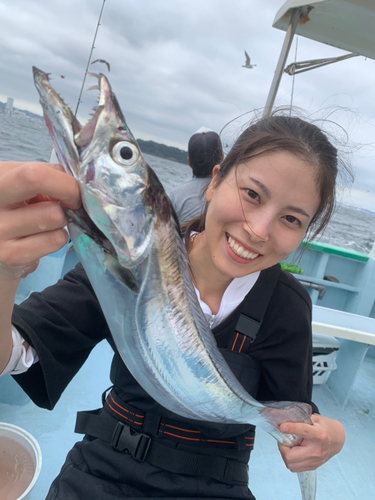 タチウオの釣果