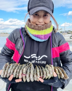 カワハギの釣果