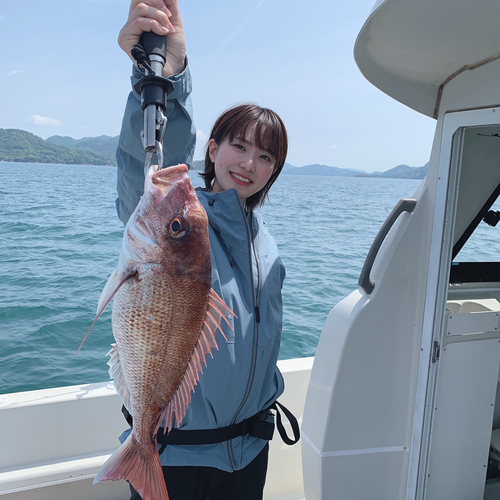 マダイの釣果