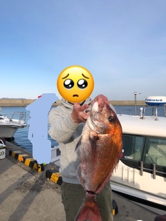タイの釣果