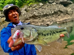 ブラックバスの釣果