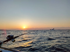 クロムツの釣果