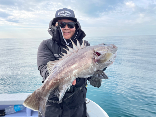 イシナギの釣果