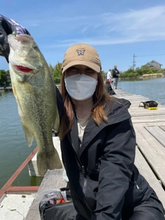 ブラックバスの釣果