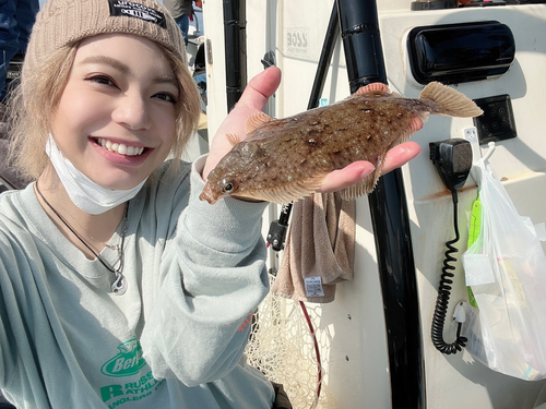 カレイの釣果