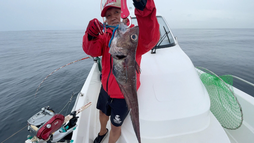 テナガダラの釣果