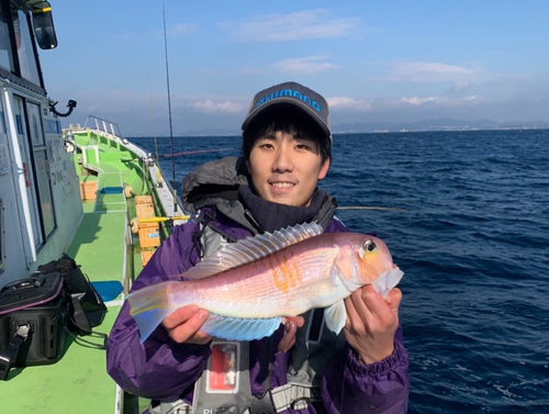 アマダイの釣果