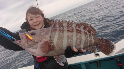 マハタの釣果