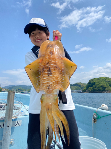 アオリイカの釣果