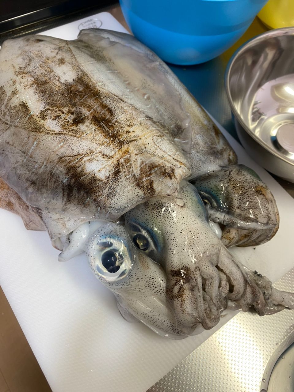 うめぞ〜さんの釣果 3枚目の画像