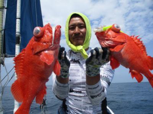 アコウダイの釣果