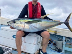 キハダマグロの釣果