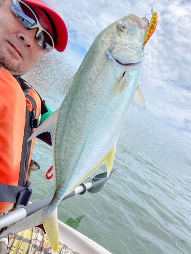 オニヒラアジの釣果