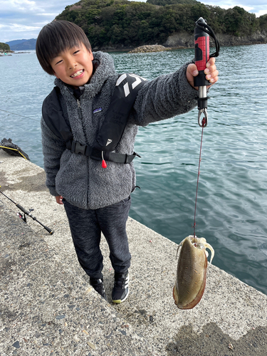 モンゴイカの釣果