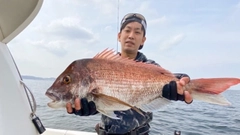 マダイの釣果