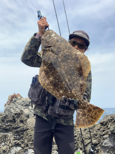 ヒラメの釣果