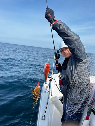 レンコダイの釣果