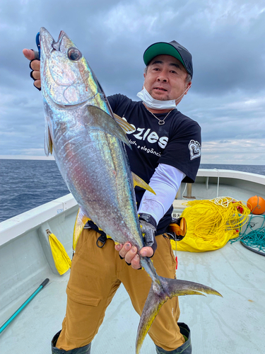 キハダマグロの釣果