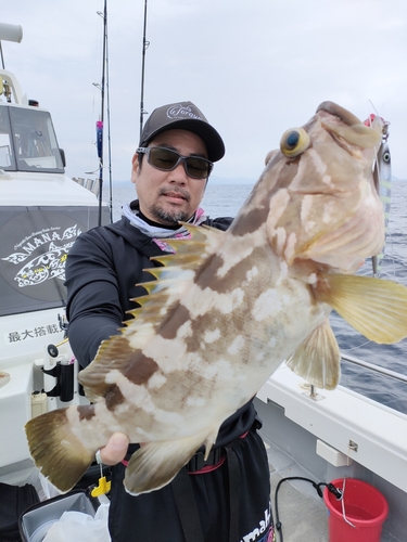 クエの釣果