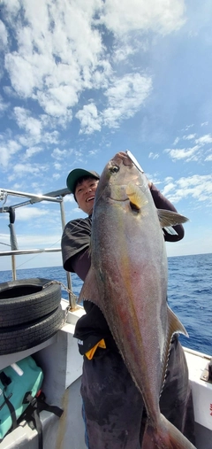 カンパチの釣果