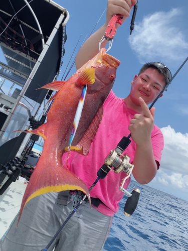 バラハタの釣果