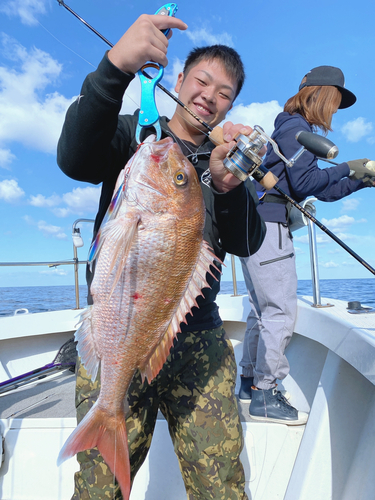 マダイの釣果