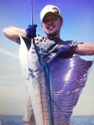 バショウカジキの釣果