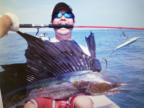 バショウカジキの釣果