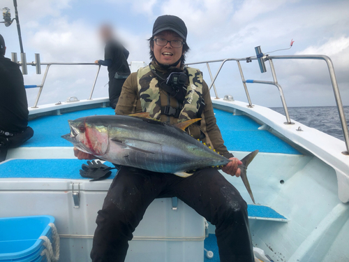 キハダマグロの釣果