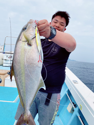 カンパチの釣果