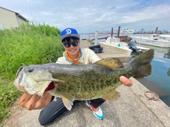 ブラックバスの釣果