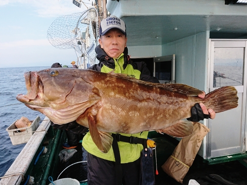 クエの釣果