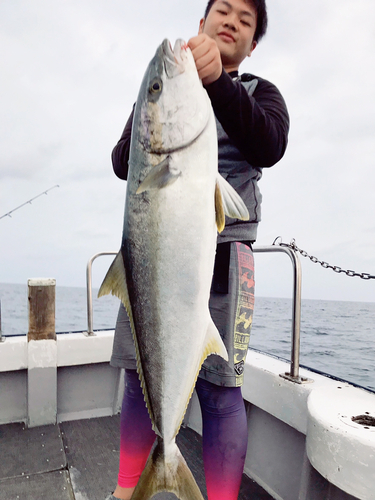 ヒラマサの釣果