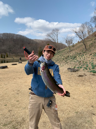 レインボートラウトの釣果