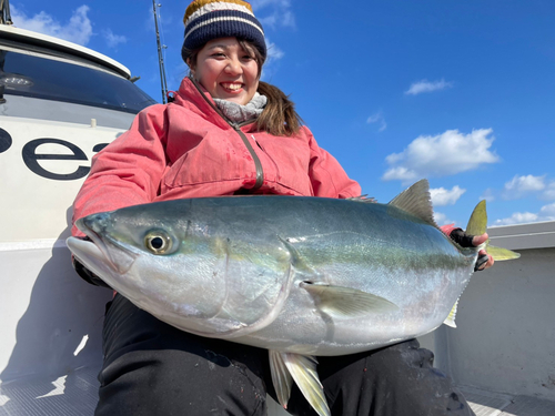 ブリの釣果