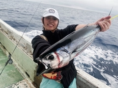 カツオの釣果