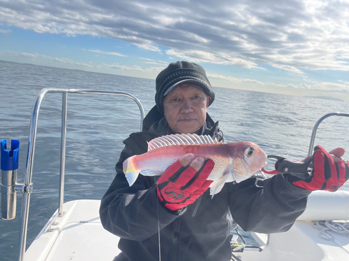 アマダイの釣果