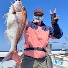 マダイの釣果