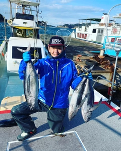 ビンチョウマグロの釣果