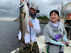 シーバスの釣果