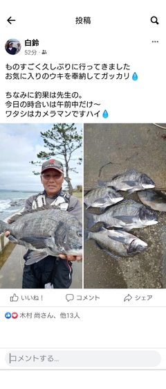 チヌの釣果
