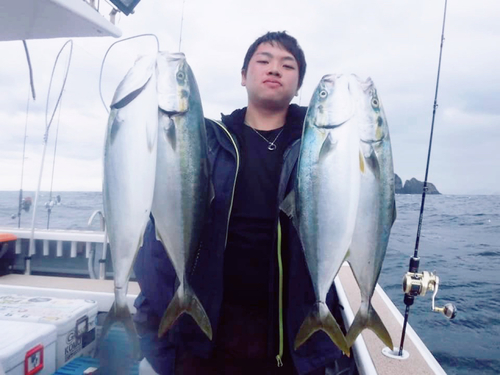 ハマチの釣果