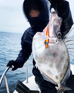 カガミダイの釣果